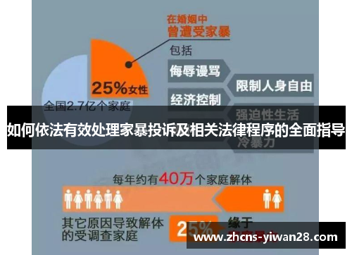 如何依法有效处理家暴投诉及相关法律程序的全面指导