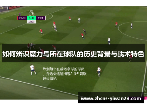 如何辨识魔力鸟所在球队的历史背景与战术特色