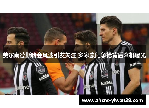 费尔南德斯转会风波引发关注 多家豪门争抢背后玄机曝光 费尔南德斯转会风波引发关注 多家豪门争抢背后玄机曝光